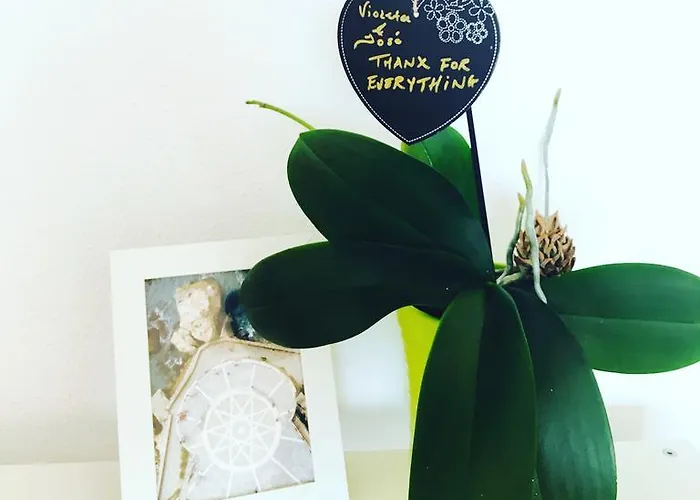 Axarquia Apartamento Nerja