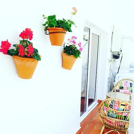 Axarquia Apartmán *