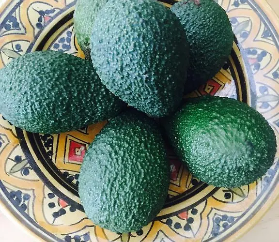 Apartment Axarquia Nerja